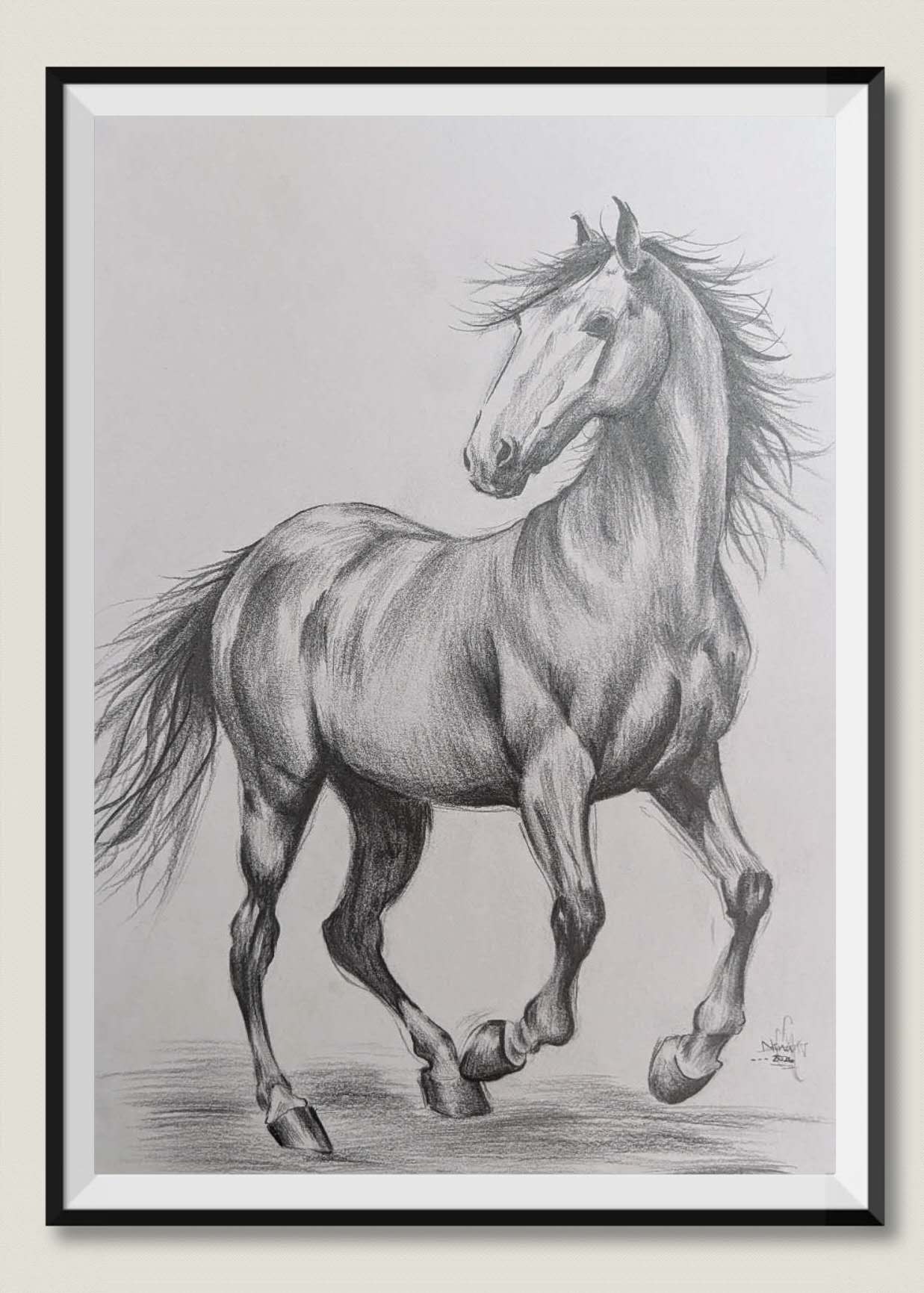 Horse in motion