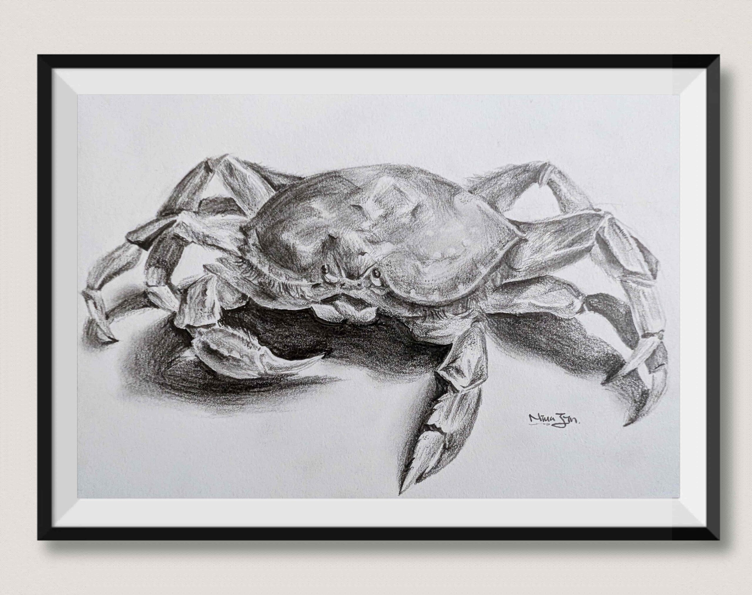 Crab study